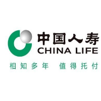 中国人寿保险公司，大桥路营销部